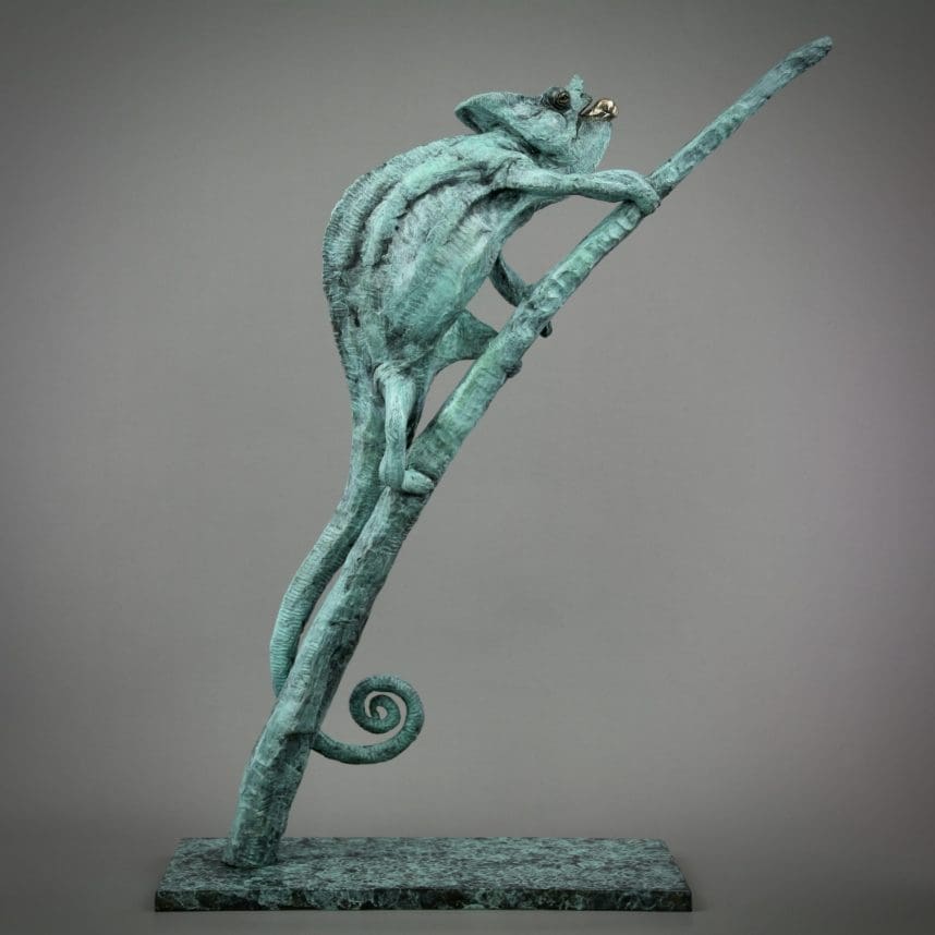 Chameleon - Image 5