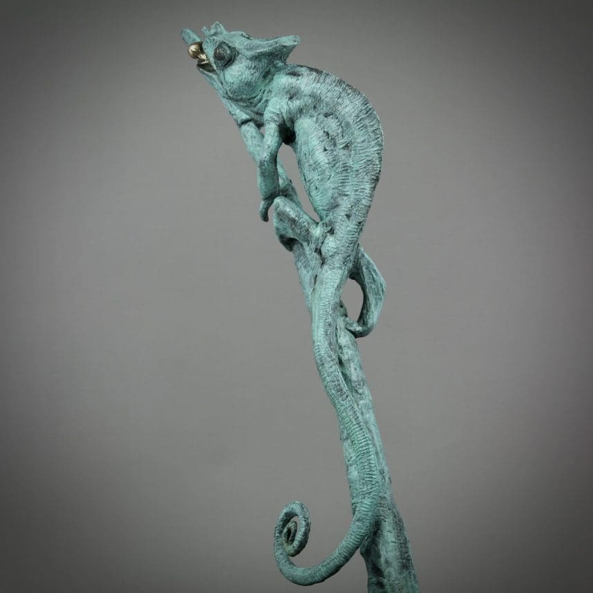 Chameleon - Image 4