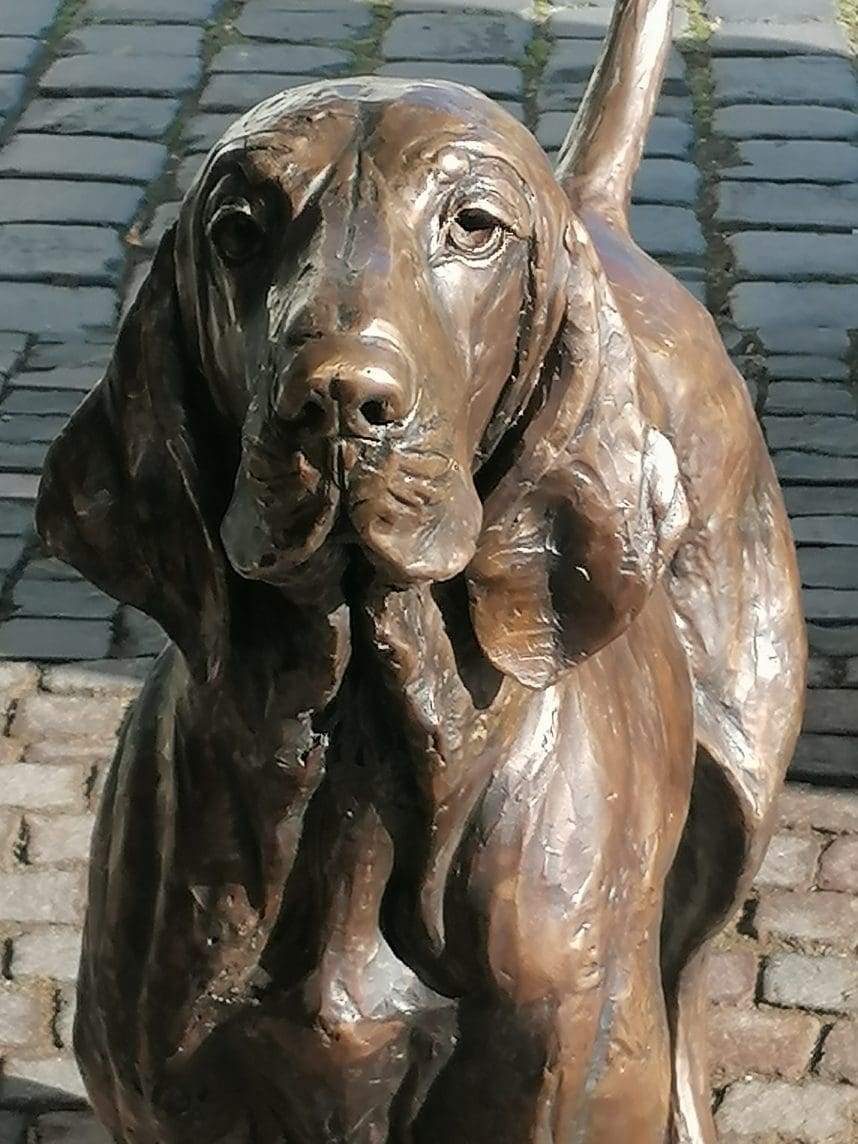 "Yoga" Bracco Italiano Stretching Bronze Dog Sculpture, - Image 4