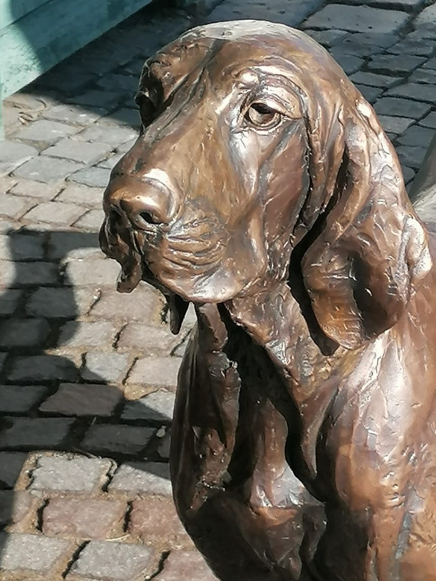"Yoga" Bracco Italiano Stretching Bronze Dog Sculpture, - Image 3