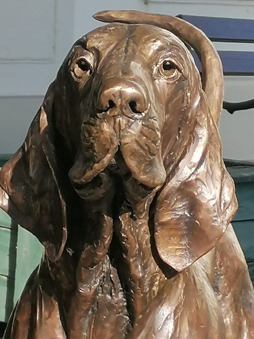 "Yoga" Bracco Italiano Stretching Bronze Dog Sculpture, - Image 9