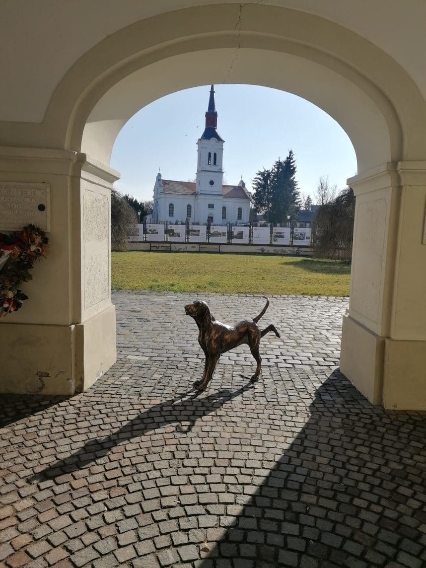"Yoga" Bracco Italiano Stretching Bronze Dog Sculpture, - Image 8