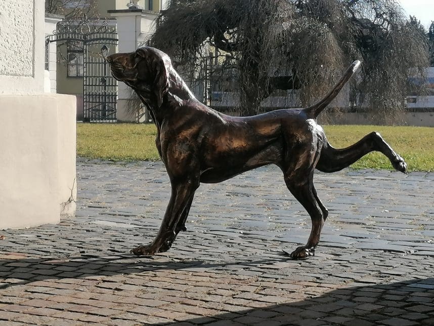 "Yoga" Bracco Italiano Stretching Bronze Dog Sculpture, - Image 7