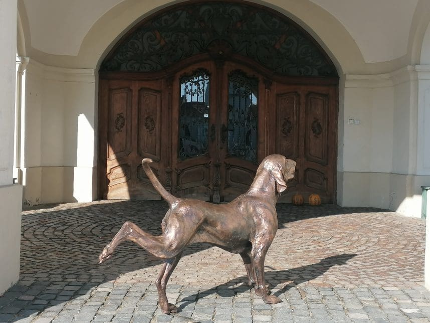 "Yoga" Bracco Italiano Stretching Bronze Dog Sculpture, - Image 11