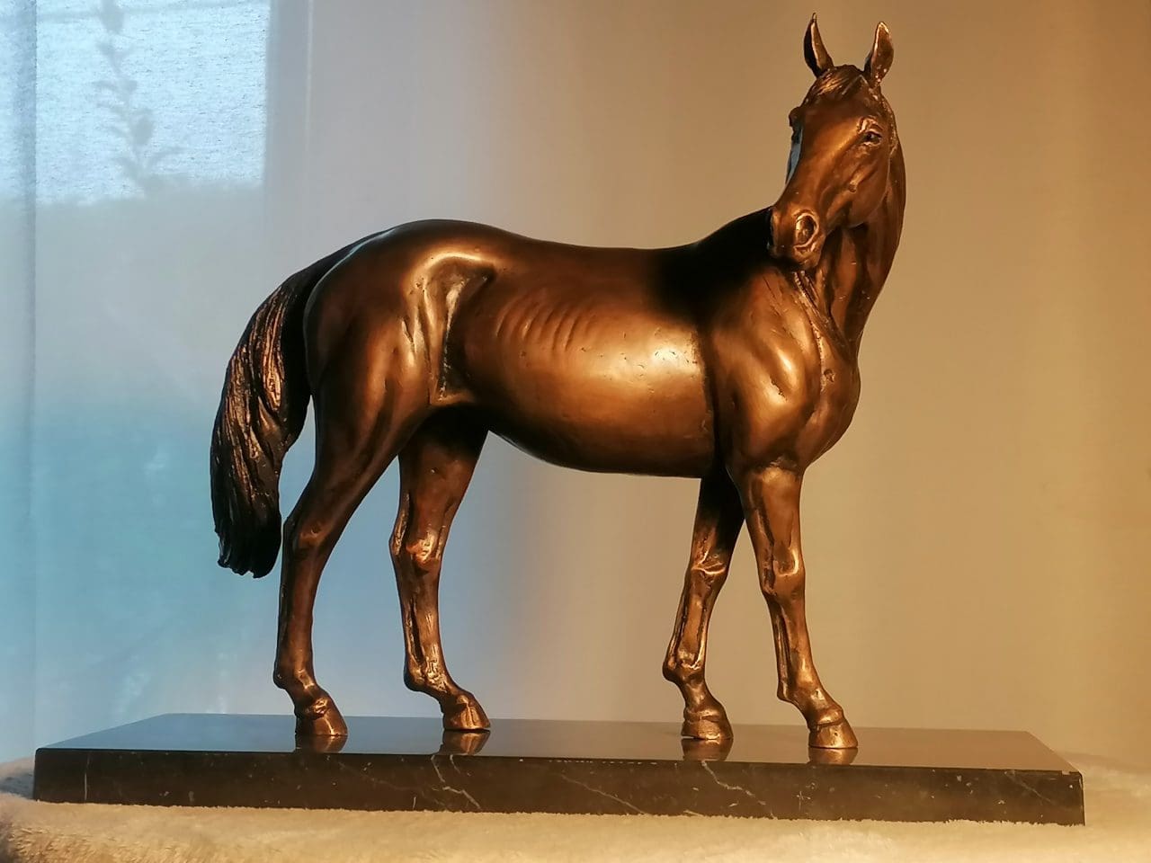 Horse Looking Back - Image 8