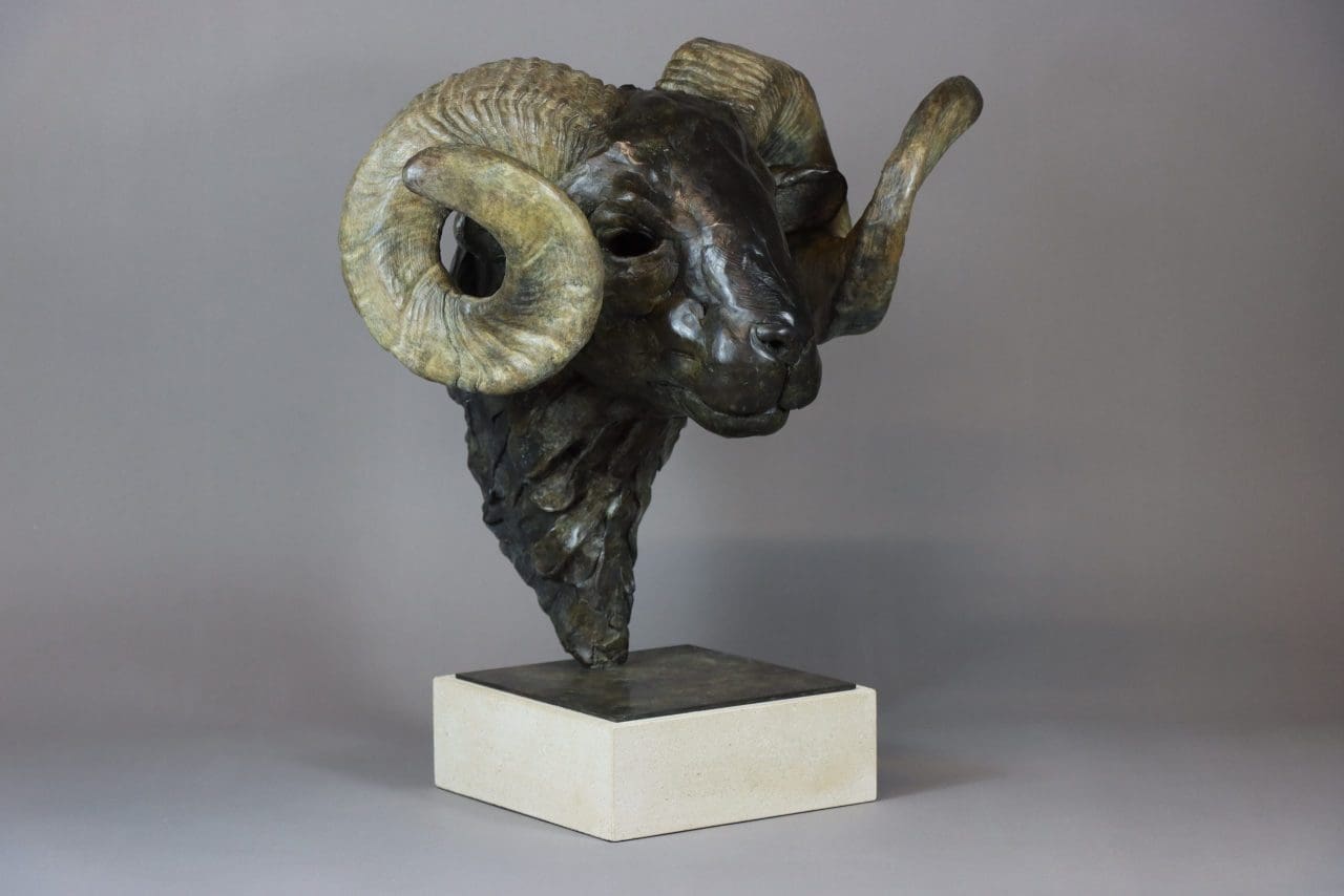 Life-Size Ram's Head - Image 4