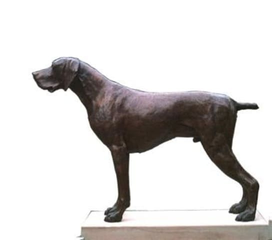 German Short Haired Pointer (Bronze Sculpture) - Image 2