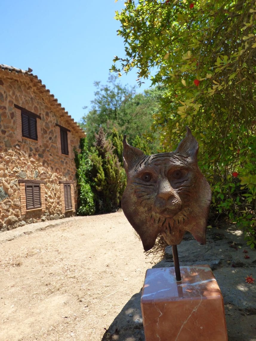 Iberian Lynx Head, Bronze Wild Cat Sculpture, - Image 5