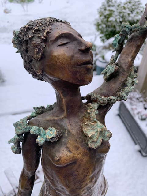 Birdfeeder - Image 7