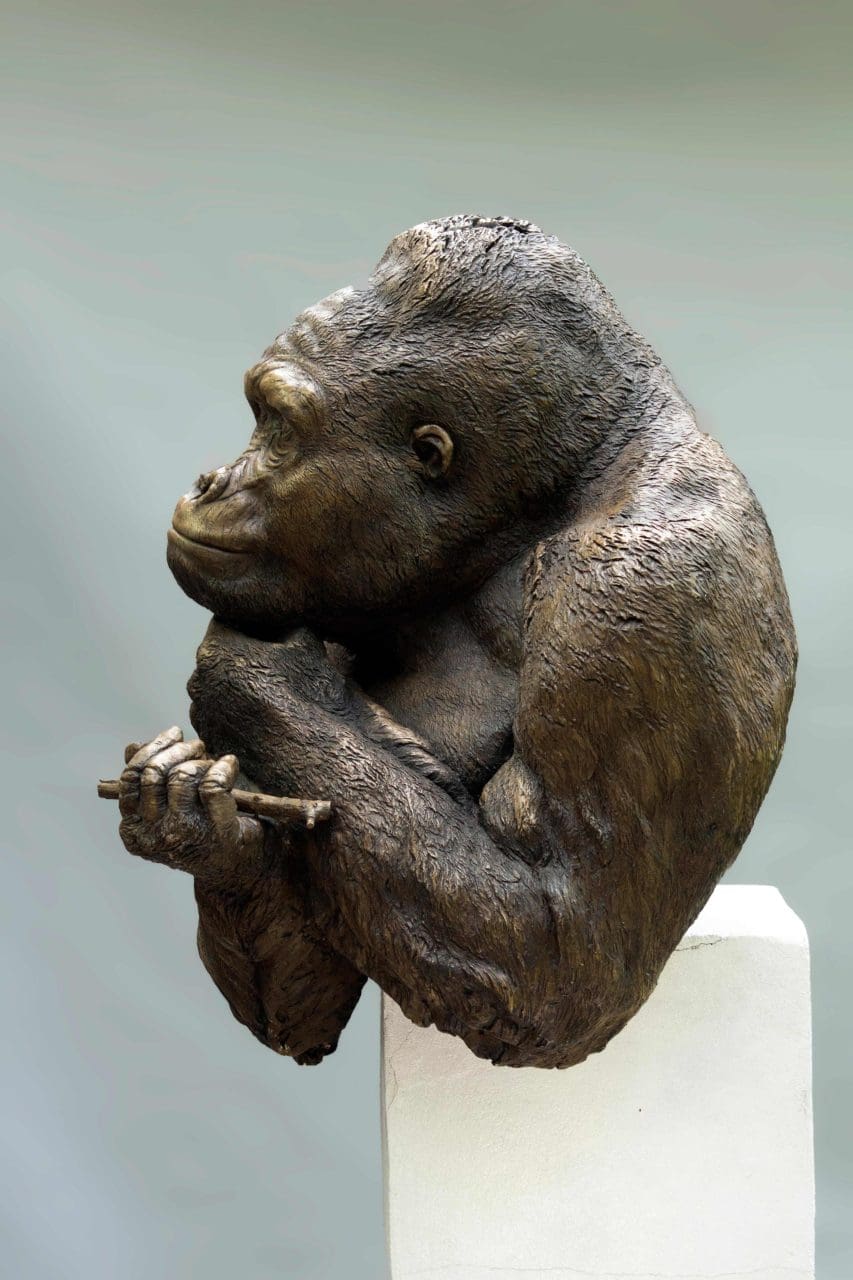 The Thinker (Bronze Gorilla Head and Torso Sculpture) - Image 3