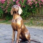 Young Hungarian Vizsla Life Size Portrait Sculpture, - Image 9