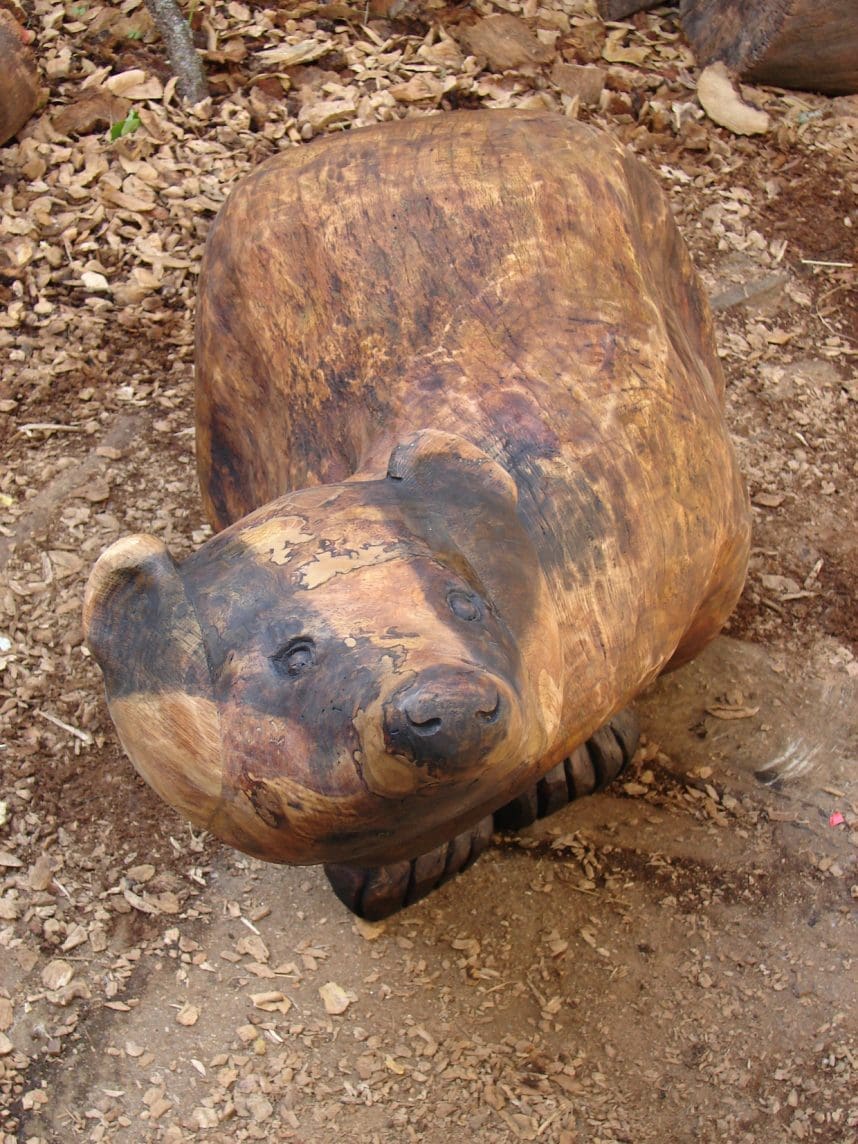 Badger - Image 2