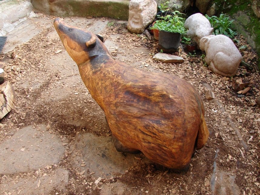 Badger - Image 3