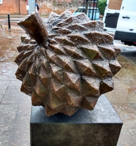 Acorn - Image 2