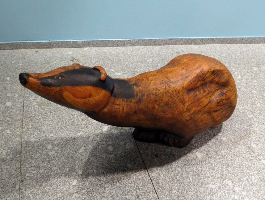 Badger - Image 4