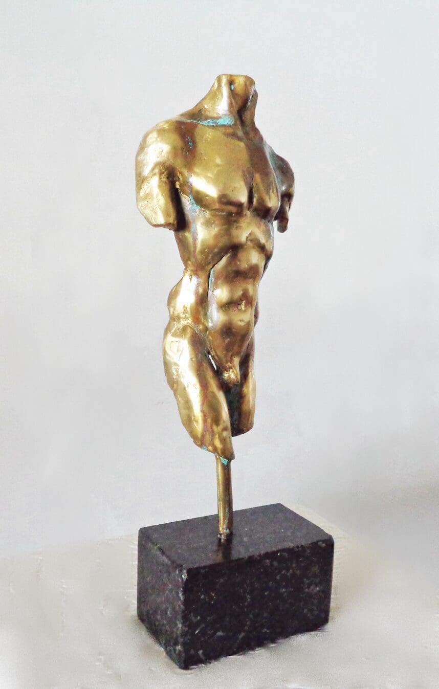 TORSO (Small Male Bronze Chest Indoor statue) - Image 2