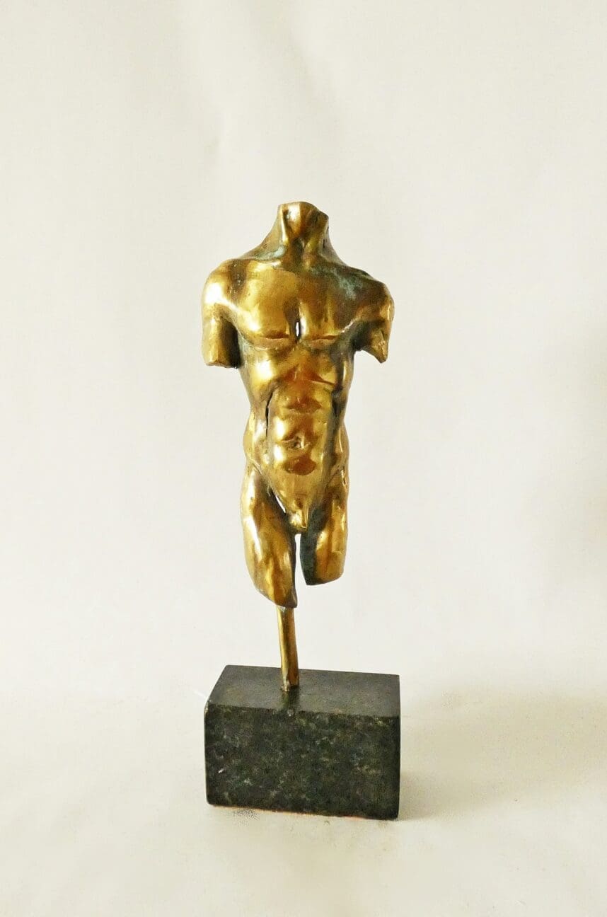 TORSO (Small Male Bronze Chest Indoor statue) - Image 9